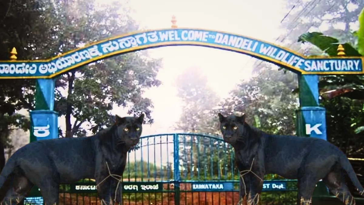 Dandeli Wildlife Sanctuary